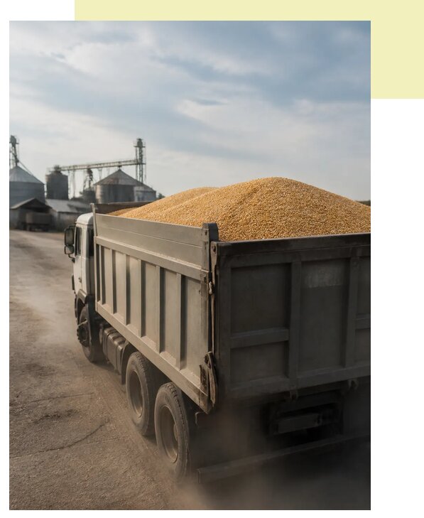 Перевозка сельхозпродукции навалом в Печору по цене от 3055 р. | Агросервис-Пчр